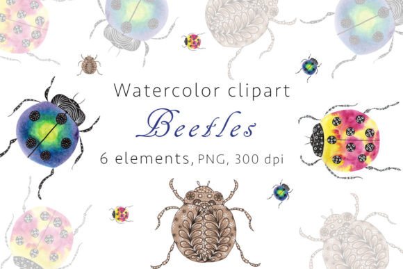 Beetles Print Watercolor Clipart PNG