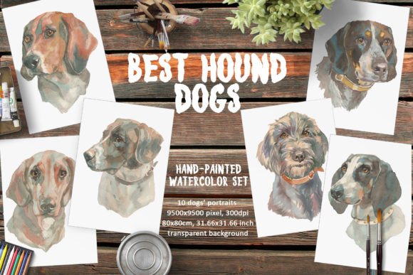 Best Hound Dogs Watercolor Set for Creators