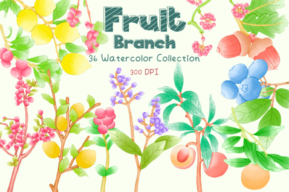 Fruit Branch 36 Watercolor Collection