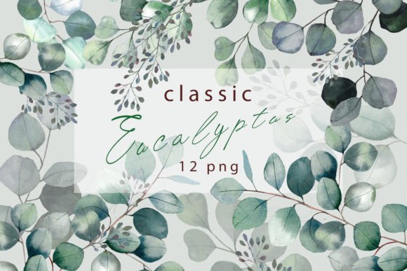 Integrating Eucalyptus Clipart and Watercolor Clipart into Professional Design Workflows