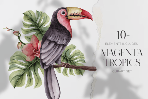Magenta Tropics Watercolor Set: A Vibrant Collection for Creative Projects