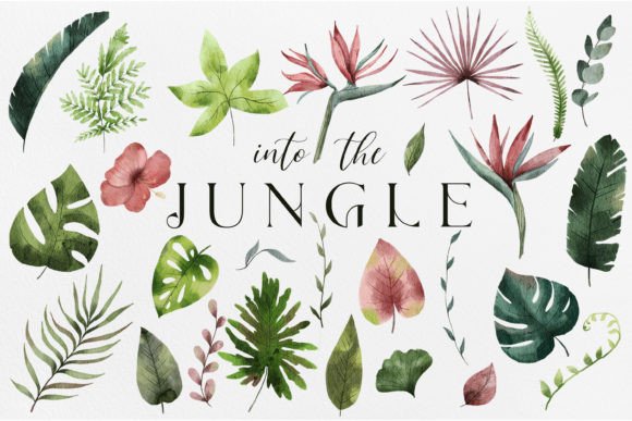 Tropical Watercolor Plants for Creative Design