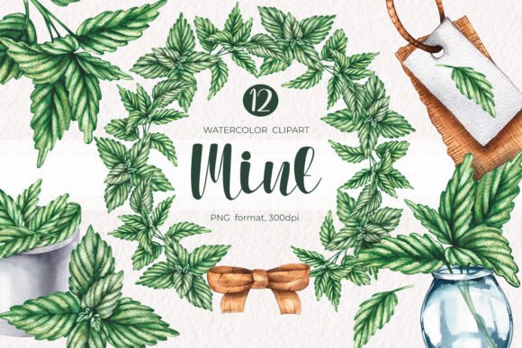 Watercolor Mint Clipart for Creative Projects